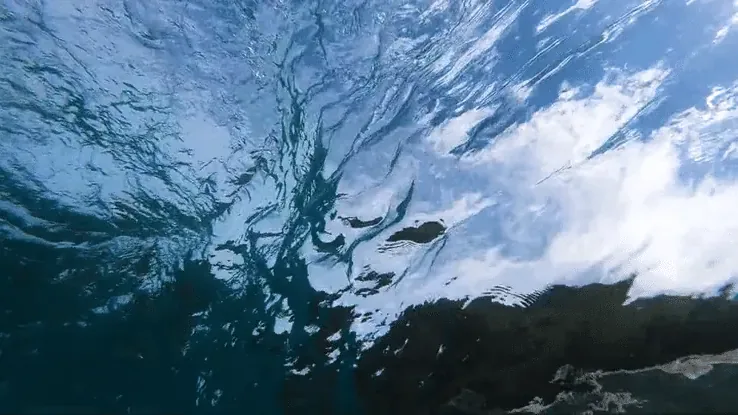 Looking up at the water's surface from below, sunlight breaking through.