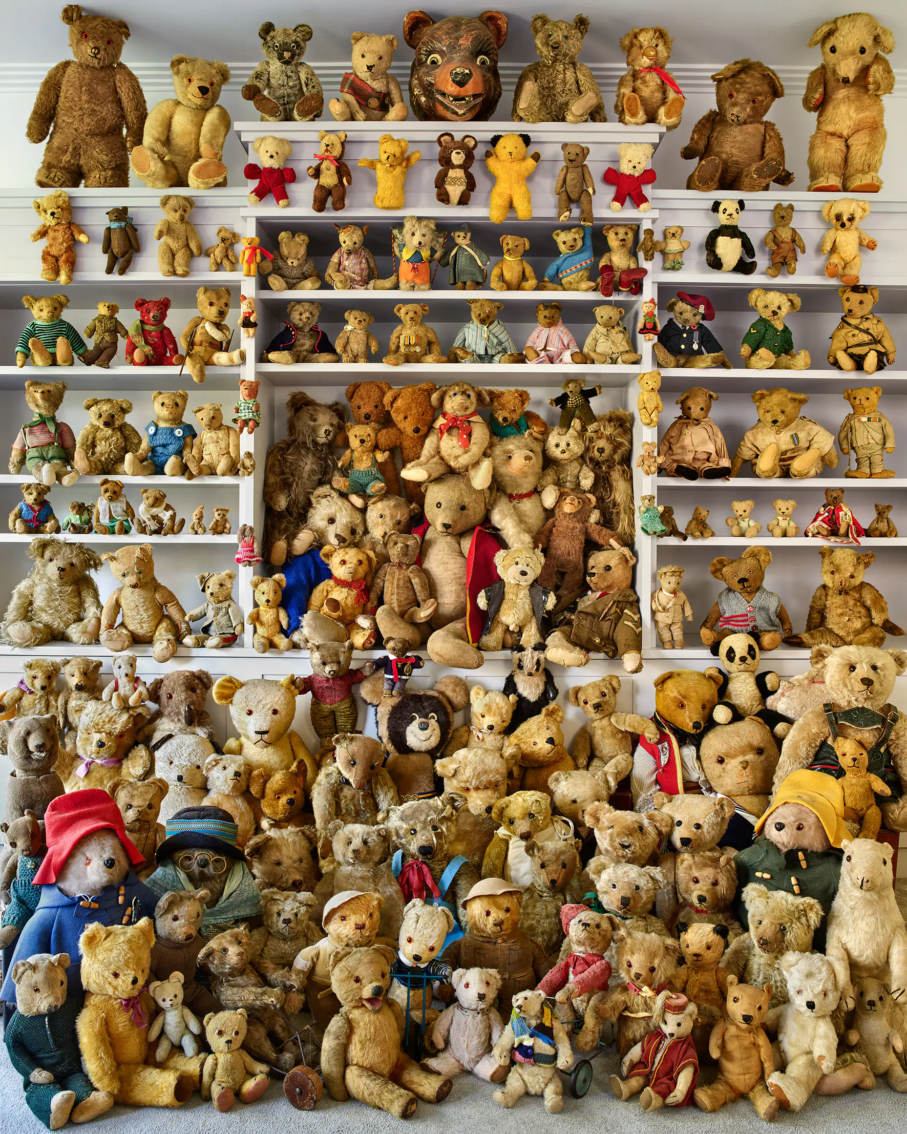 Part of a collection of antique teddy bears.